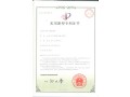 专利