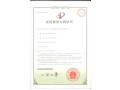 专利