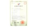 专利